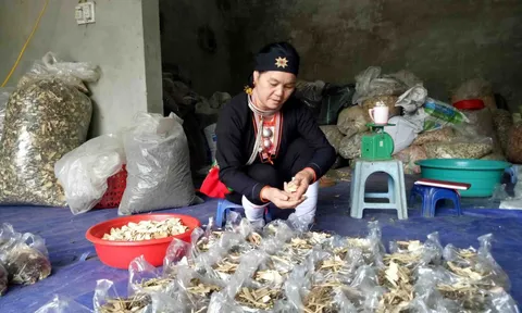 Cặp vợ chồng vô sinh vỡ òa niềm vui có con khi có cơ duyên gặp “thần y” núi Tản